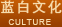 今年会官网app文化